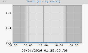rain