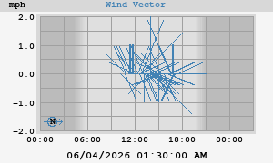 Wind Vector